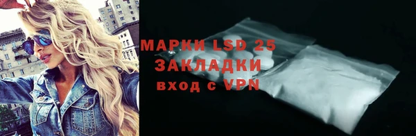 стафф Касимов