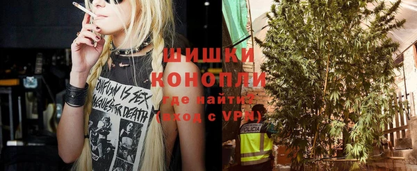 стафф Касимов
