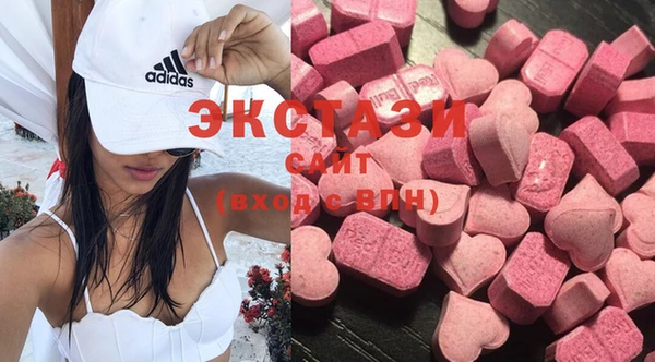 стафф Касимов