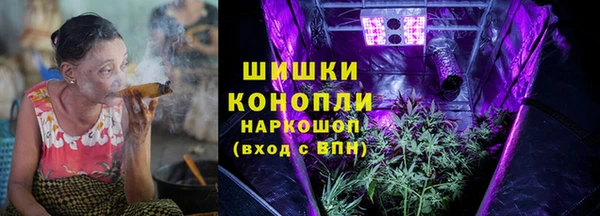стафф Касимов