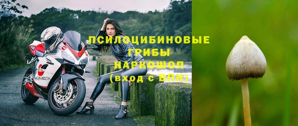 стафф Касимов