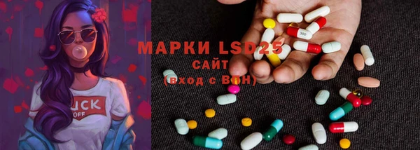 стафф Касимов
