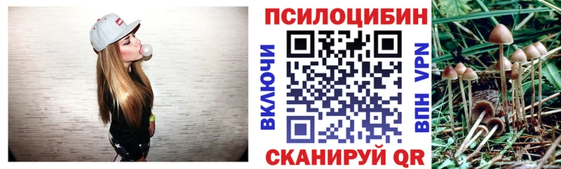 Галлюциногенные грибы Magic Shrooms  Купить где  Партизанск 